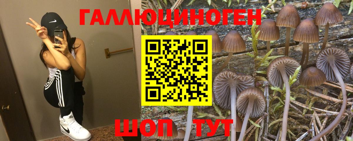 Галлюциногенные грибы MAGIC MUSHROOMS Новочебоксарск
