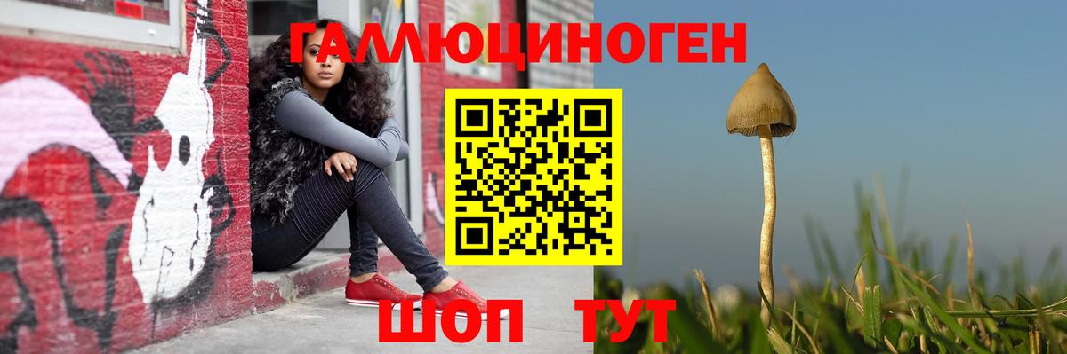 Псилоцибиновые грибы Cubensis  Вход с VPN  Новочебоксарск 